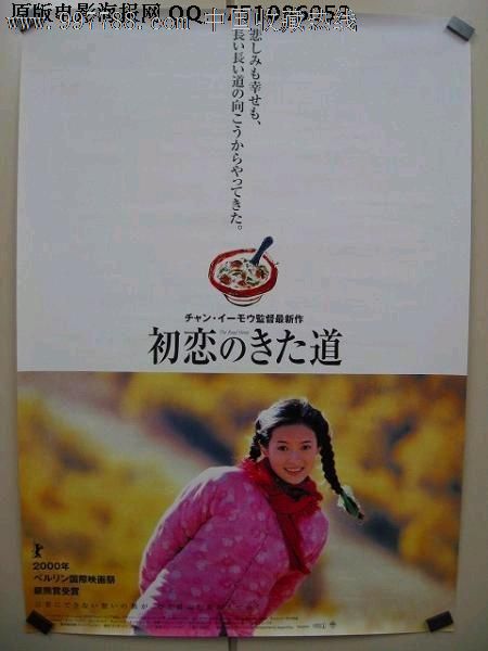 伊迪斯科文大学学士成绩单